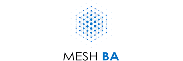 MESH BA